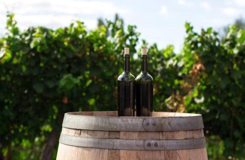 Johnson City Other | Glamping Retreat on Scenic Winery