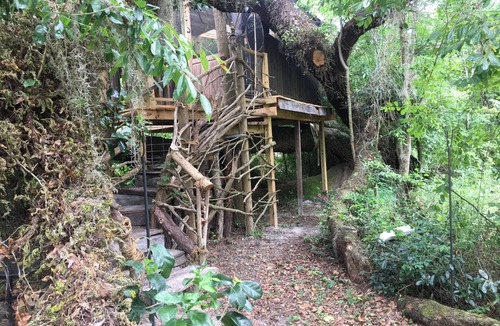 Live Oak House | Glamping Treehouse on Farm, Unique Experience!