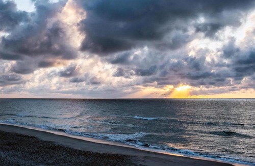 Wilmington Beach Hotel | Golden Sands Carolina Beach Oceanfront, Tapestry by Hilton