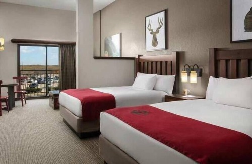 Grapevine Resort | Great Wolf Lodge Grapevine