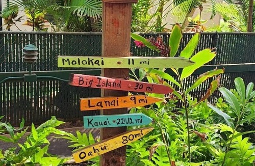 Honokowai Condo | Ground floor! Swim with the turtles! Book now!