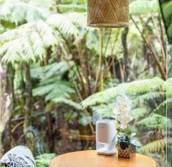 Volcano Cabin | Hale Kumu La'au- A'a