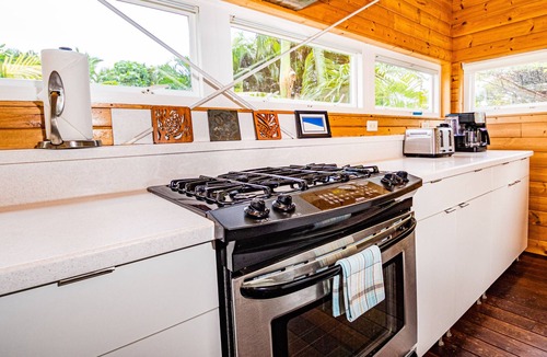 Puna Palisades House | Hale Ohai: Modern Elegance in the Jungle near Pohoiki and Kehena Beaches