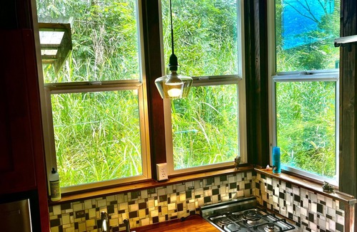 Pahoa Bed & Breakfast | Hawaiian Sanctuary