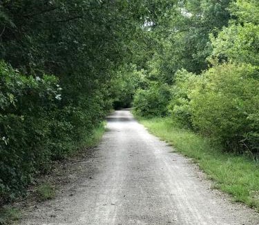 Weatherford House | Hidden Treasure Tiny Harvest House Forest Getaway 30 Min. West of Fort Worth