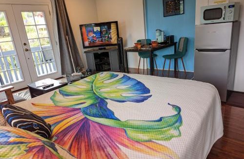 Hilo Apartment | Hilo Luxury Suite