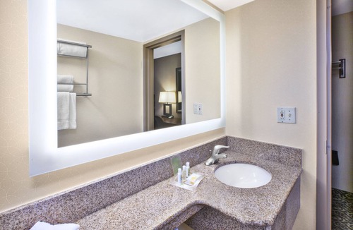 Crystal City Hotel | Holiday Inn National Airport/Crystal City by IHG