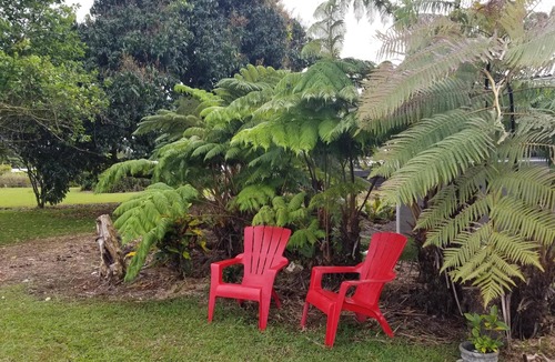 Hilo House | Home Brought Back to Life Hidden Off One of Hilo's Main Streets.