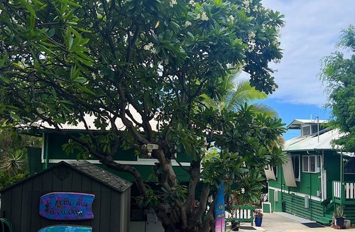 Historic Kailua Village Hostel | Hostel ∙ 8 guests