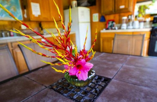 Kapoho House | House ∙ 1 bedroom ∙ 4 guests