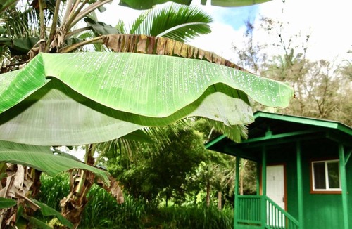 Pahoa House | House ∙ 1 bedroom ∙ 4 guests