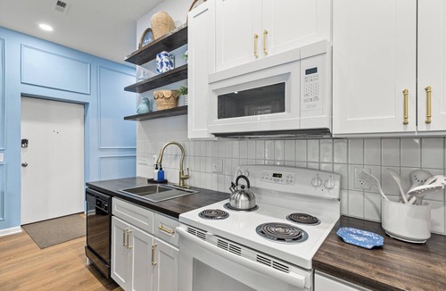Downtown Apartment | Huge, Downtown, Walkable, Coffee, Breweries, Dogs