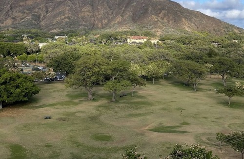 Diamond Head - Kapahulu - St. Louis Apartment | Immaculate Modern Diamond Head Jewel, enclosed yard, pets, children allowed!