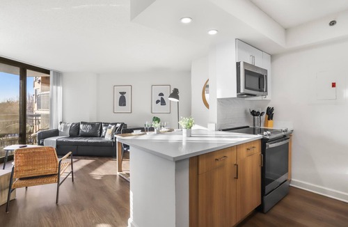 Pentagon City Apartment | Incredible Apartment with Rooftop in Pentagon City