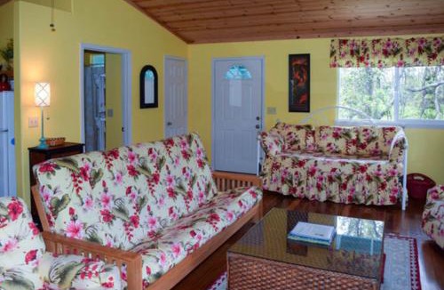 Mountain View House | Kahu 'lo - Guardian Hawk