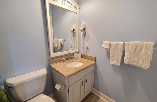 Hampton Apartment | King Sapphire Studio Suite, Kitchenette, 65" TV Private Bathroom Pets Welcome