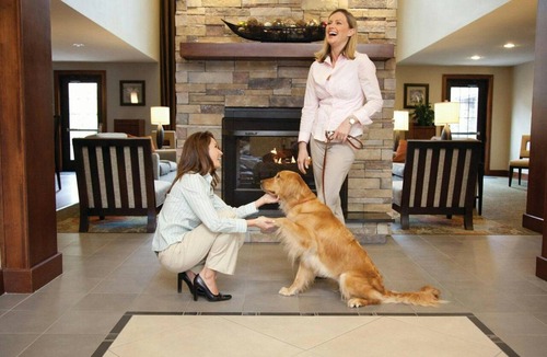 Leander Apartment | King Studio Suite Near Austin | Free Breakfast!