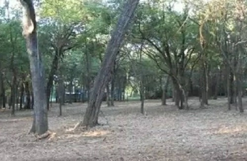 Little Elm RV Rental | Lake front