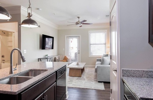 Greer Apartment | Landing | Beautiful 1BD, Gym, Pool