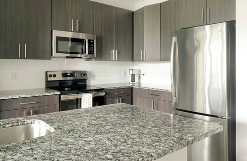 Optimist Park Apartment | Landing | Spectacular 2BD, Gym