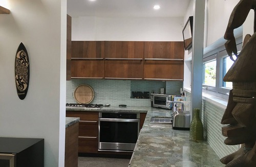 Puna Palisades Villa | Lava Flow House Pool Ocean View Kehena Beach w A/C