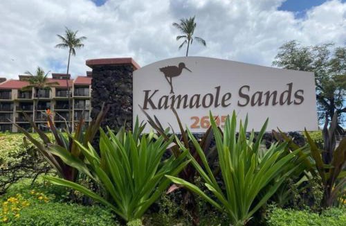 Kihei Apartment | Live da HI life-great beach and great views!