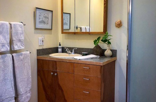 Kealakekua Cabin | Lodge ∙ 1 bedroom ∙ 3 guests