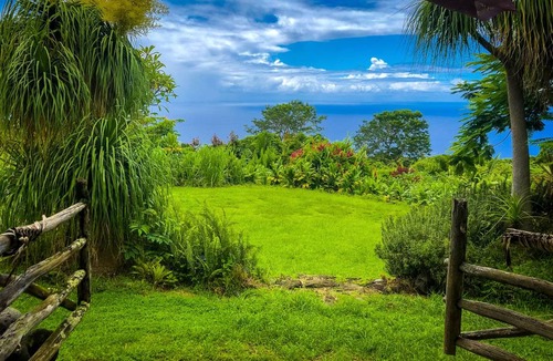 Kealakekua Cabin | Lodge ∙ 1 bedroom ∙ 3 guests
