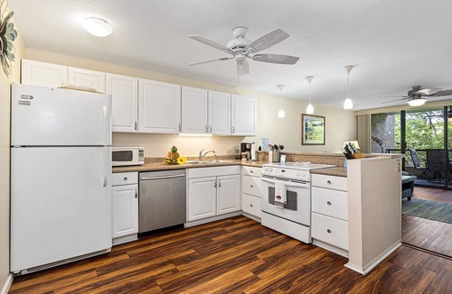 Historic Kailua Village Condo | 🌴Lovely garden unit | Walking Distance to Kona Down Town | WiFi | AC 🌴