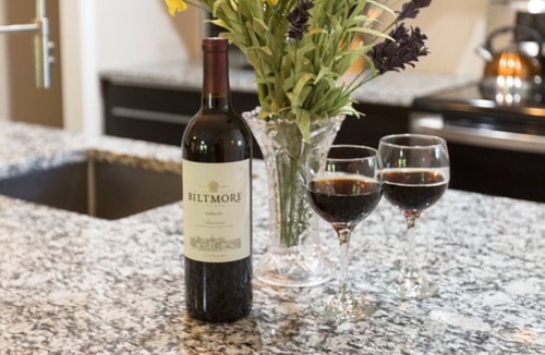 Kenilworth Ski Chalet | Lucerne Chalet - Treetop Mountain Views In Downtown Asheville -FP, Dog Friendly!