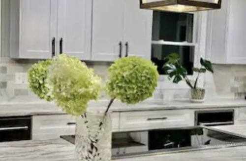 Ashford Park House | Luxury Million-Dollar Oasis in Brookhaven/Atlanta