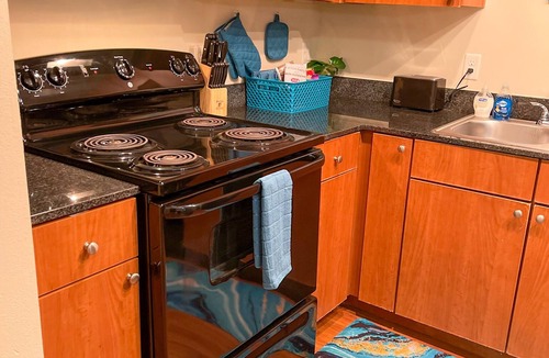 North Burnet Apartment | Luxury Style 1-bedroom 1-bathroom located at The Domain