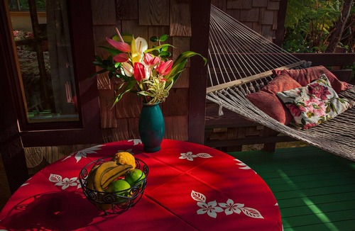 Volcano House | MAGICAL & COZY GEM! BIRDS, HUGE FERNS ABOUND IN NATIVE RAINFOREST. SO QUIET.