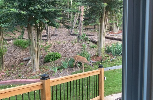 Braselton House | Main level access = 2 BR, 2 private baths, and much more. Wheelchair accessible.