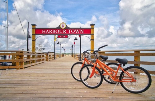 Beach Lagoon Villa | Marriott's Monarch at Sea Pines in Hilton Head