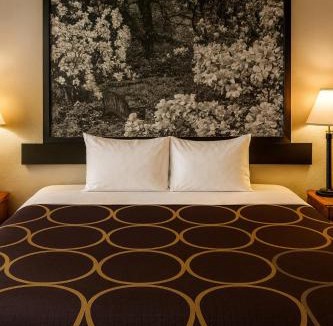 Dover Hotel | MHO Hotel Dover