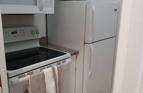Ottawa Condo | Modern Boho Chic