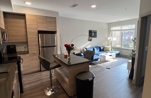 Northeast Apartment | Modern , luxurious, DC apartment with pool and gym