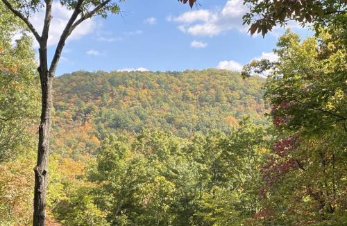 Montreat House | Montreat Round House - mountain views, renovated