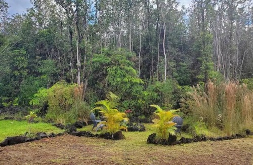 Fern Forest House | Mountain View Retreat Unit 2 - highly rated on leading vacation rental sites!