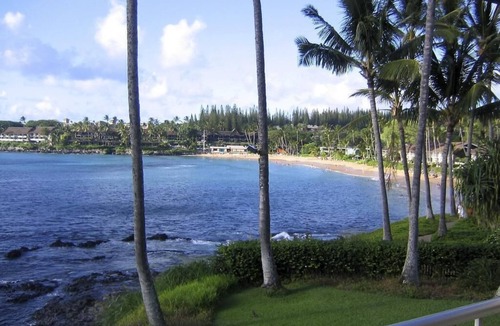 Napili Condo | Napili Shores A-201 - Get Your Spring/Summer 2025 Dates Booked Now!