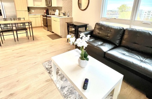 Optimist Park Apartment | New Luxurious stylish apartment in Uptown Charlotte!