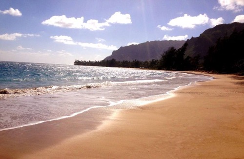 Punaluu Apartment | New Oceanfront! Fully equipped 1bed/1bath apt on the beach in Punaluu