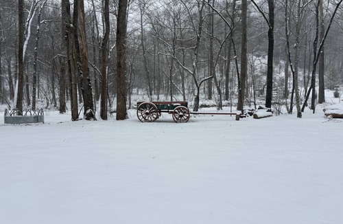 Marion Cabin | New river front cozy cabin on 60 acre private farm.