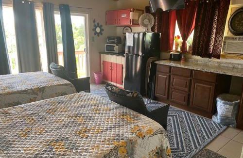 Kehena Apartment | Nice Studio w/AC near Kehena Beach and lava fields