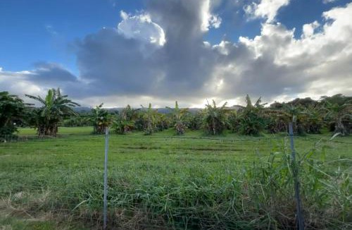 Laie Other | North Shore Glamping Camping Laie, Oahu, Hawaii