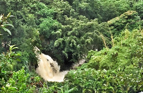 Pauwela Cottage | Ocean View Cabin located on Organic Coffee Farm with Hiking Trails