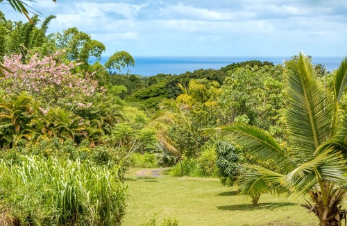 Kapoho House | Off Grid Getaway w Panoramic Ocean Views