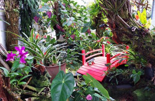 Hilo House | Paradise Cottage at Anthurium Hale