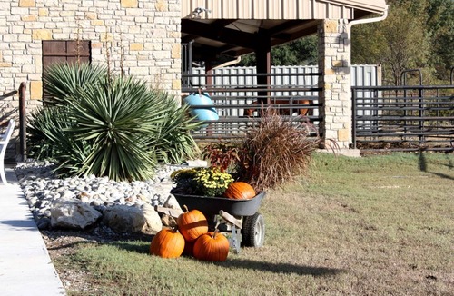 Weatherford Cabin | Peaceful Cottage on Farm in Idyllic Countryside near Fort Worth, Texas